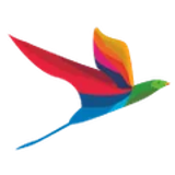 India CSR
