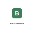 BW CIO World press release placement