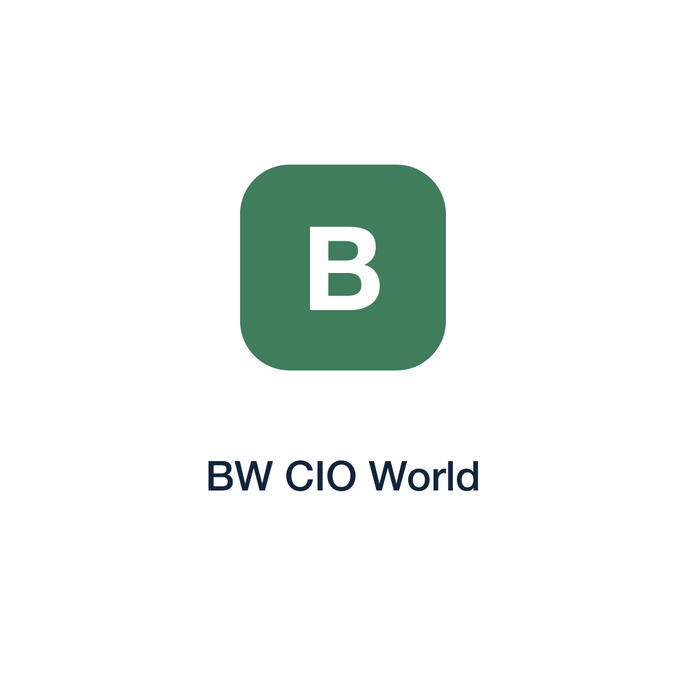 BW CIO World press release placement