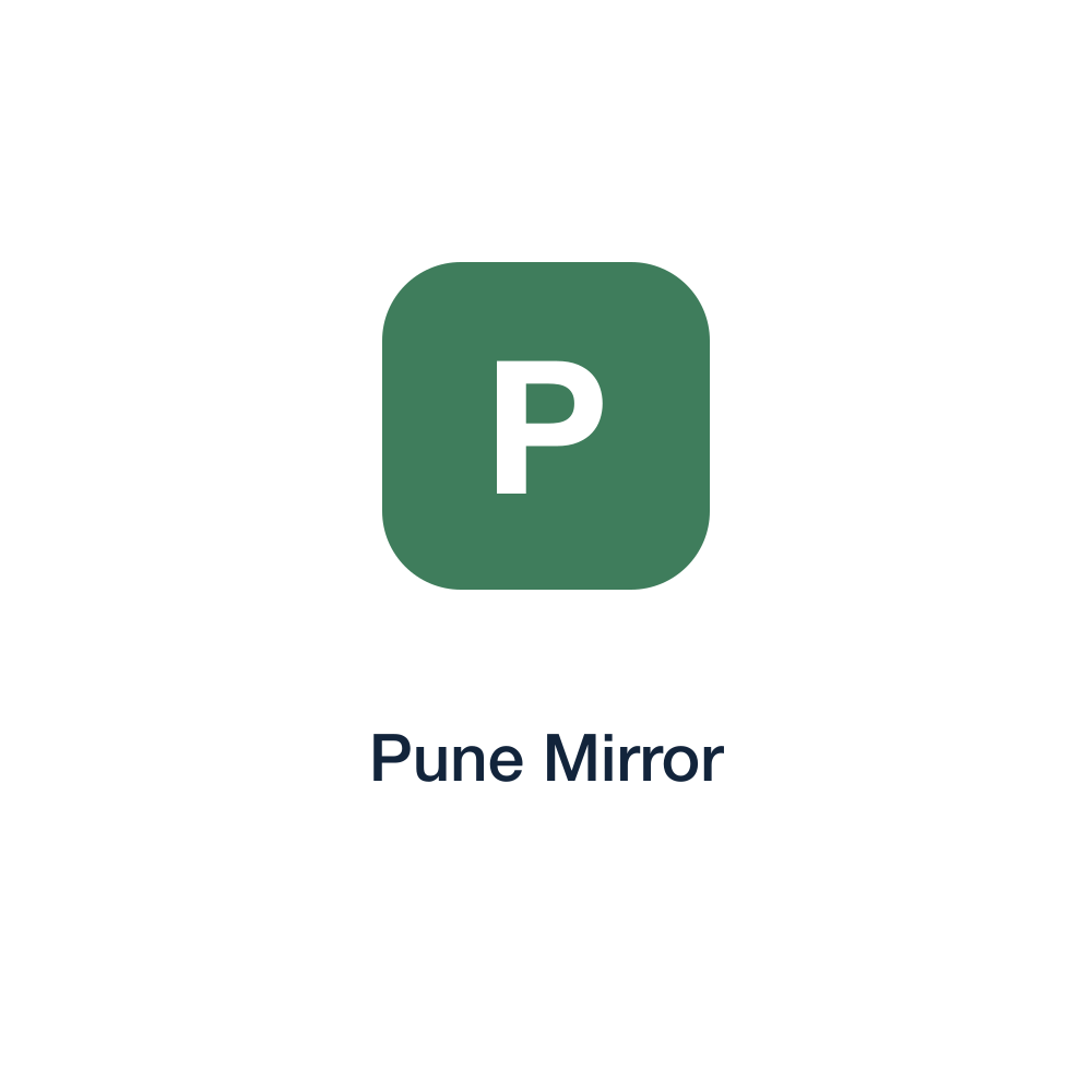 Pune Mirror press release placement