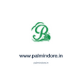 www.palmindore.in — palmindore.in press release placement