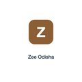 Zee Odisha press release placement