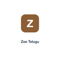 Zee Telugu press release placement