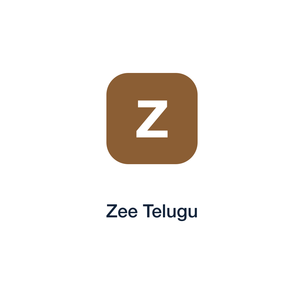 Zee Telugu press release placement